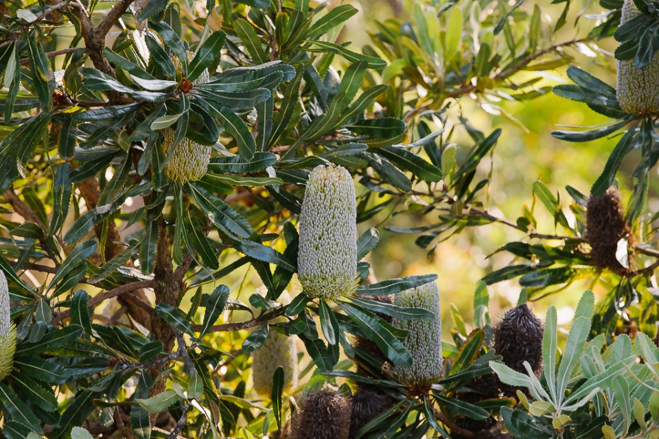 Nat&David-LR-web-239