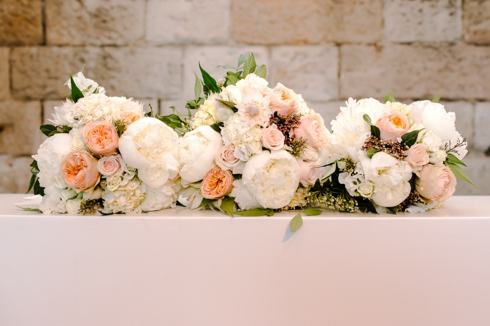 scottmeredith-web-335