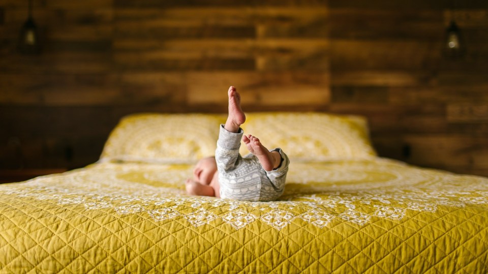 Frankie_03Oct17_web-104