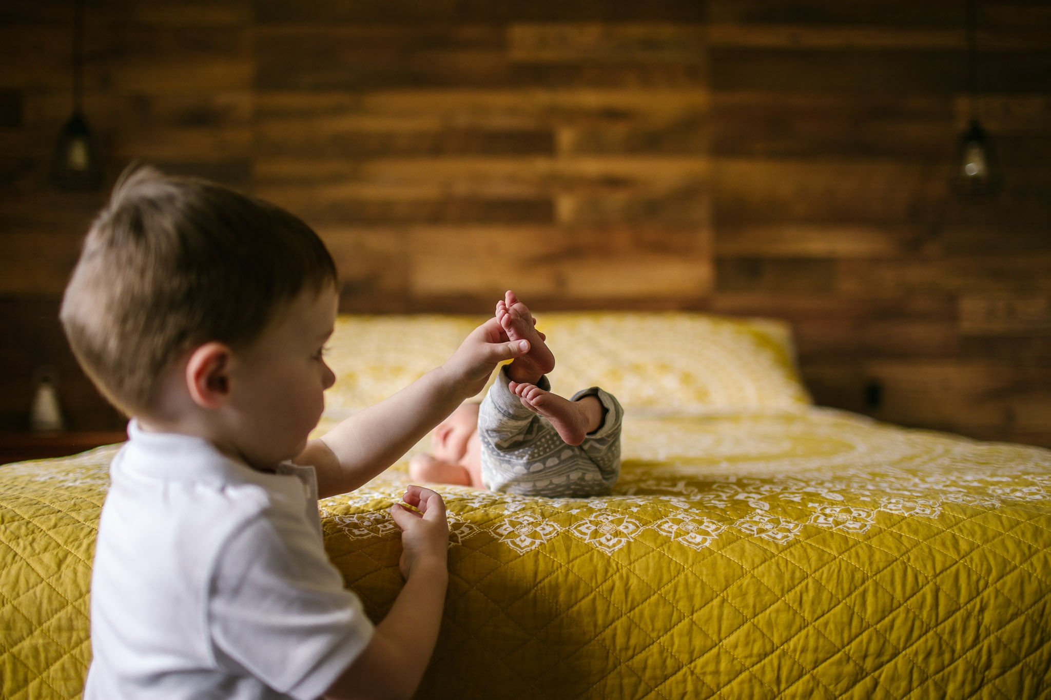 Frankie_03Oct17_web-105