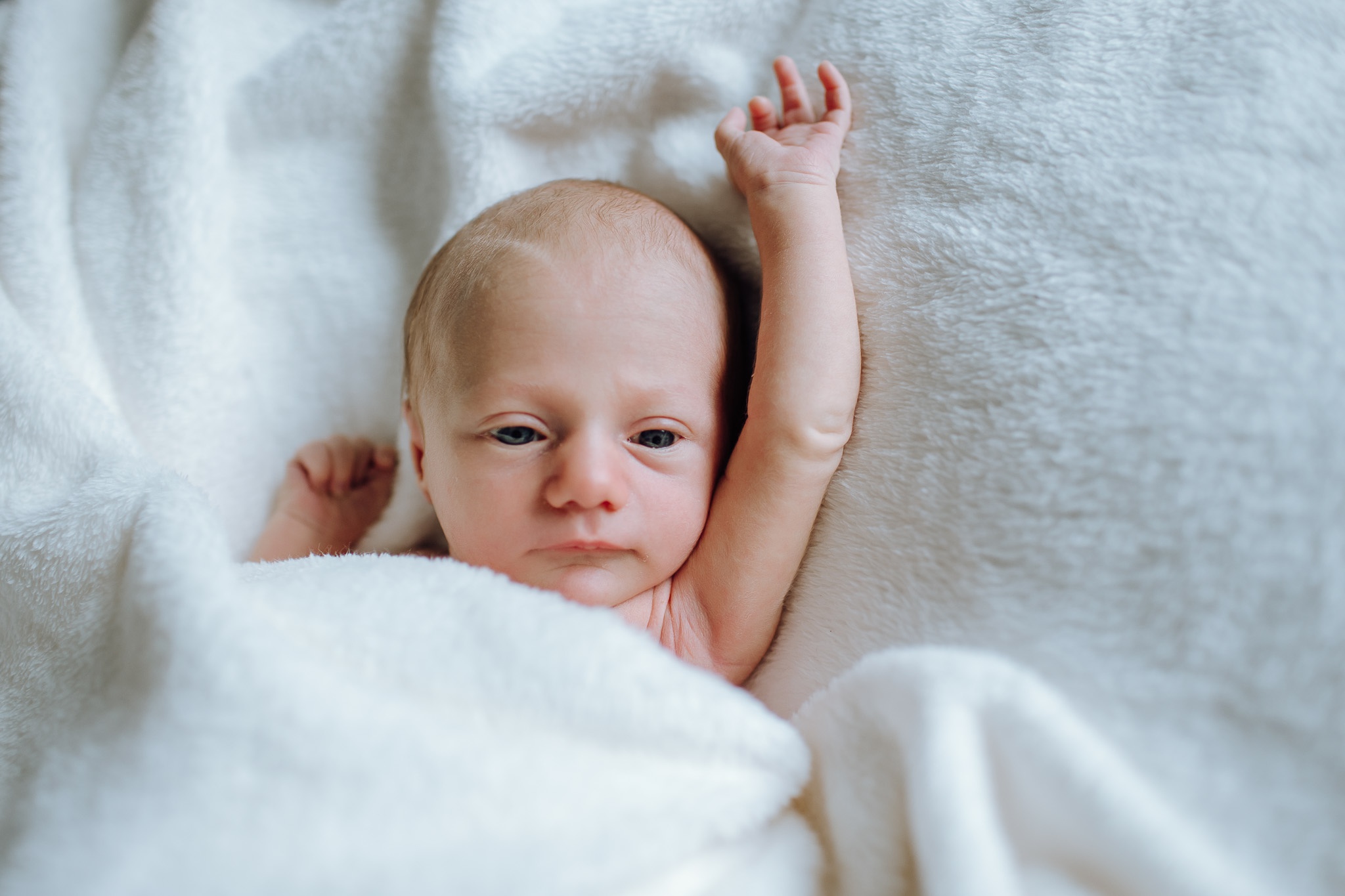 Frankie_03Oct17_web-136