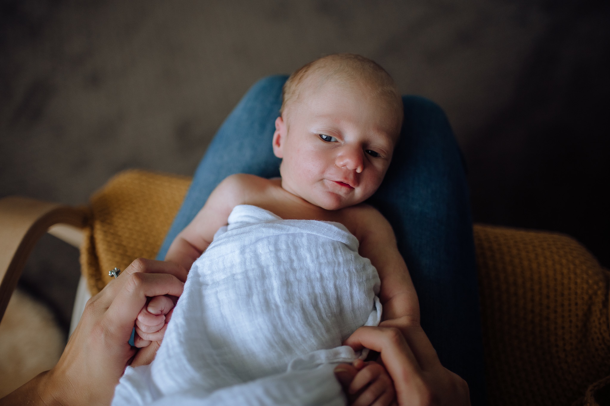 Frankie_03Oct17_web-93