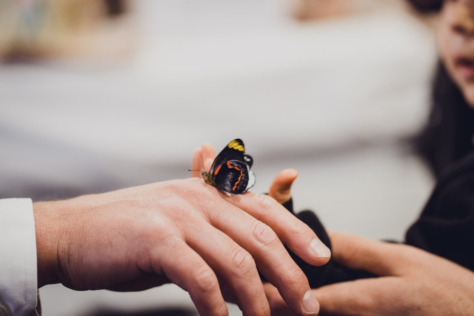 Ceremony_Jake&amp;Bree-15